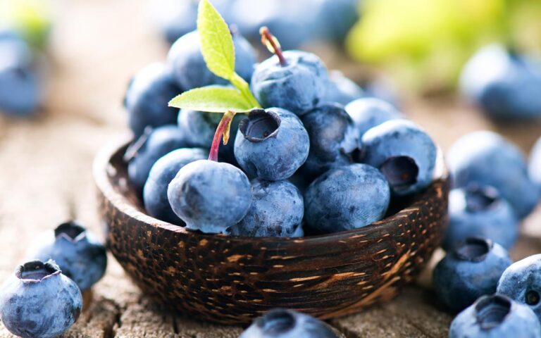 ブルーベリーの日は8月8日！ 由来やおいしい実の見分け方、食べ方を紹介