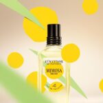 ロクシタン春“ミモザの香り”フレグランス、ふわっと春を纏うオードトワレやハンドクリーム